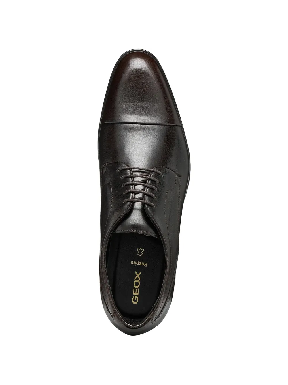 Geox cap-toe lace-up shoes Bruin