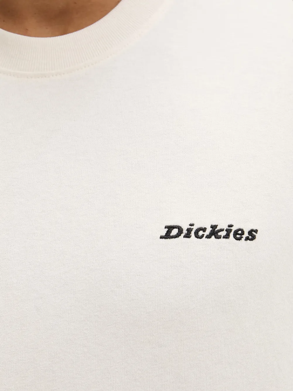 DICKIES Wellsville baggy broek met toelopende pijpen Blauw