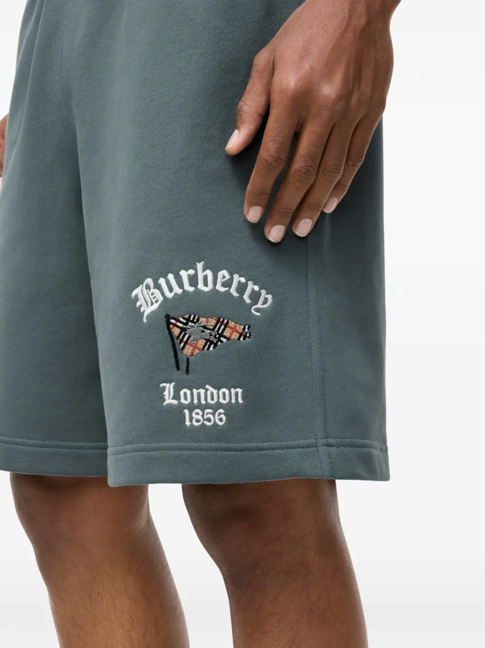 Burberry Check-flag katoenen shorts Blauw