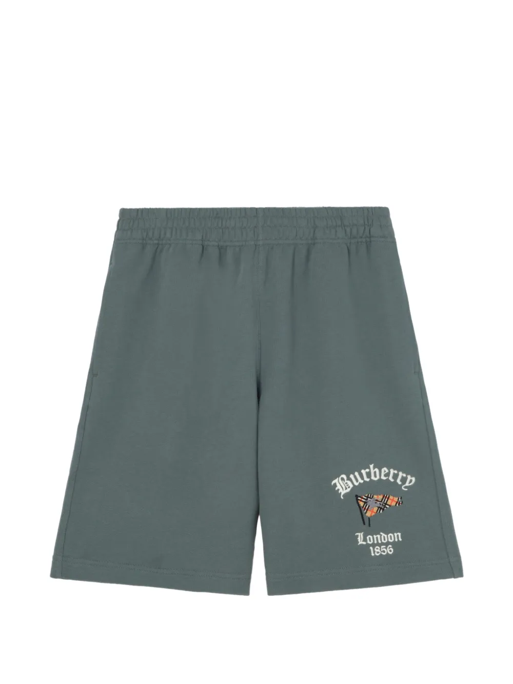Burberry Shorts in cotone Check - Blu