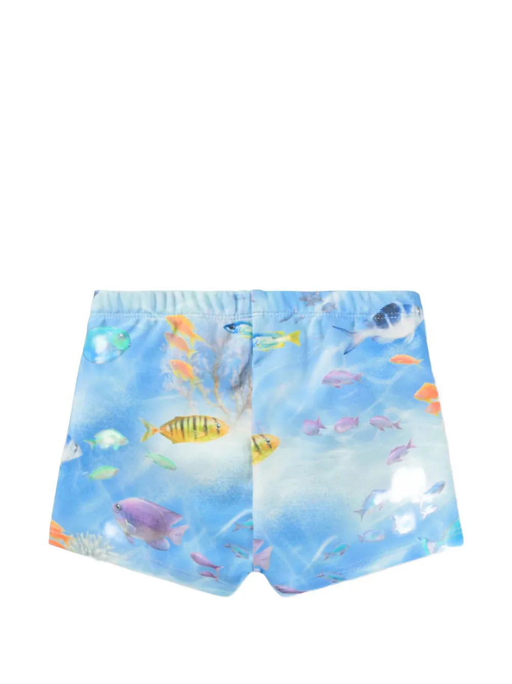 Molo Nansen zwembroek met vissenprint Blauw