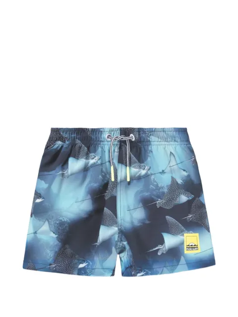 Molo Niko swim shorts