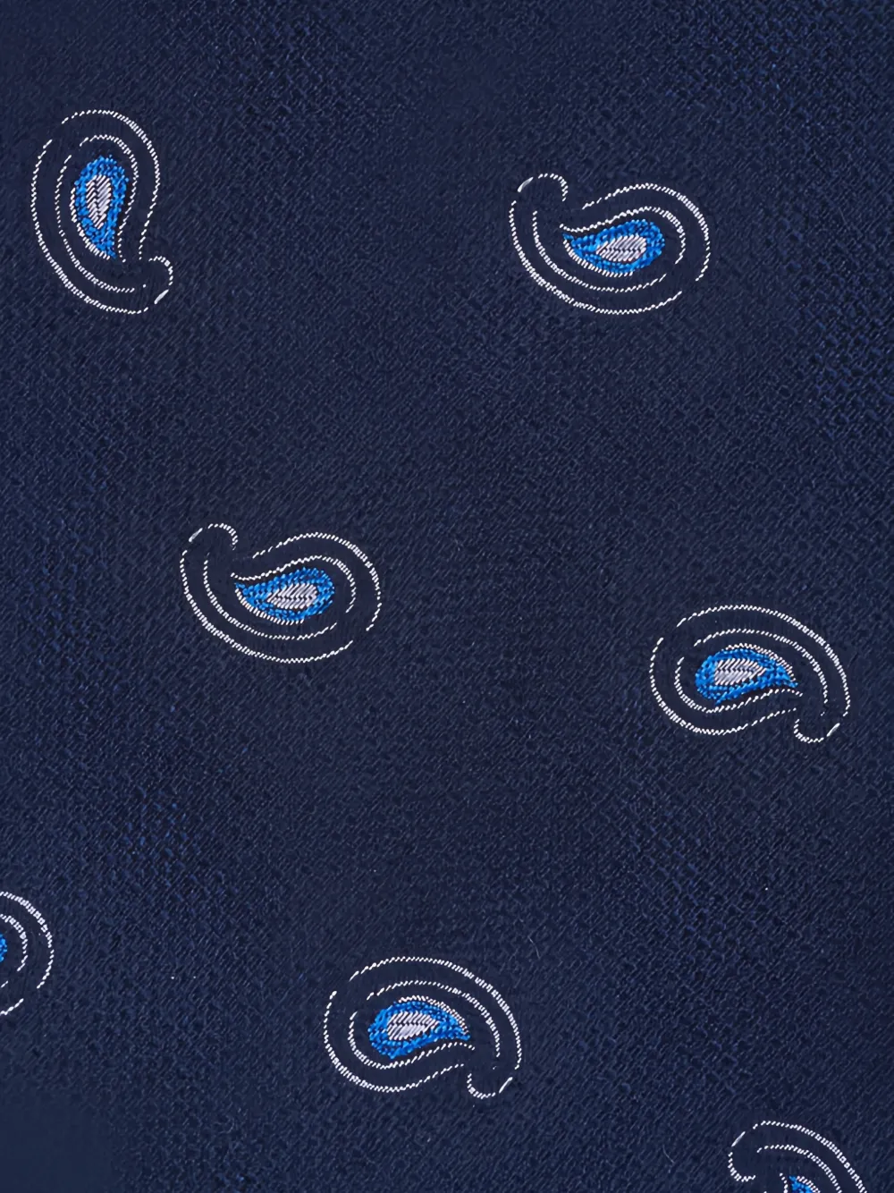 Paolo Albizzati Stropdas met paisley-print Blauw