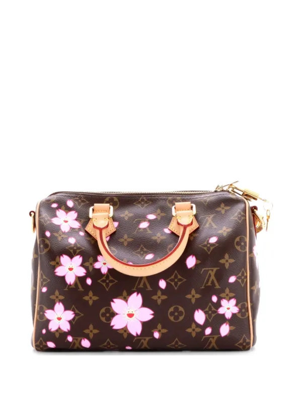 Louis Vuitton Pre-Owned x Takashi Murakami Speedy Handbag Limited
