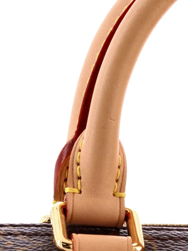 Louis Vuitton Pre-Owned x Takashi Murakami Speedy Handbag Limited