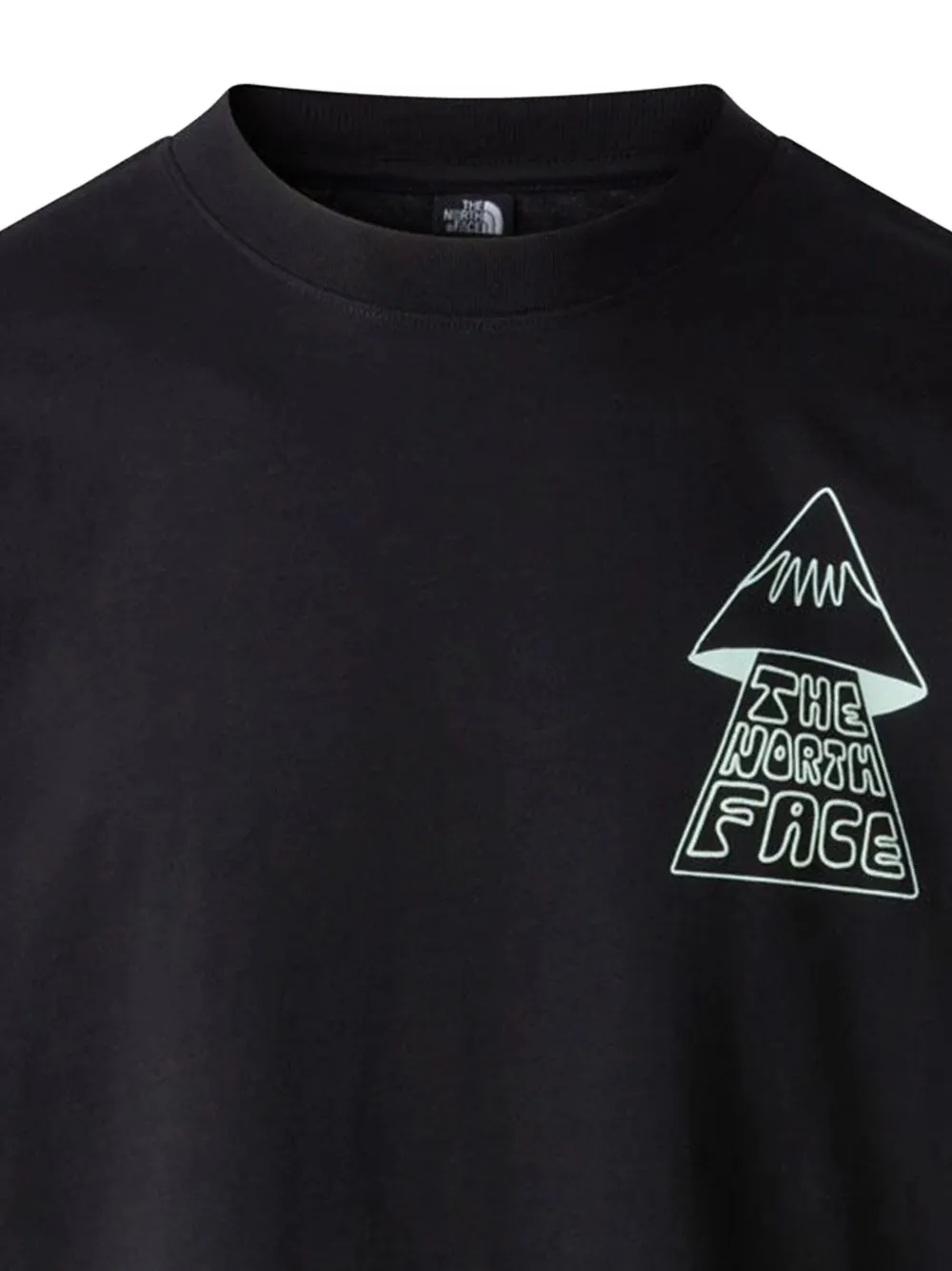 The North Face Mountain Play T-shirt Zwart