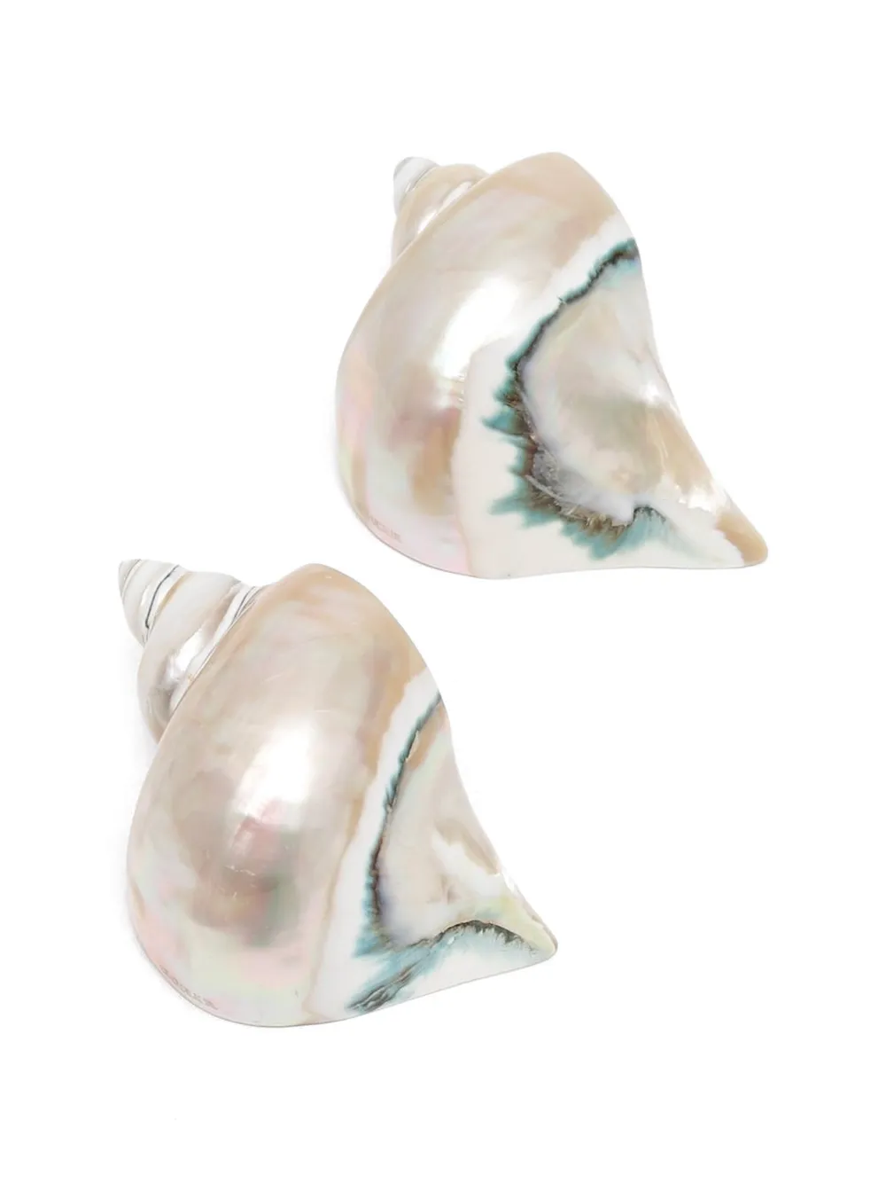 Gohar World shell napkin rings (set of two) - Toni neutri