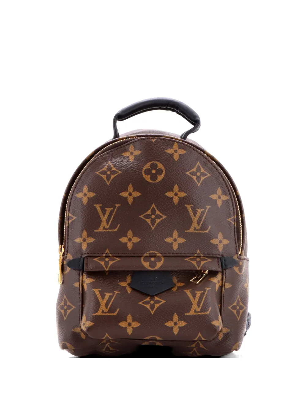 Louis Vuitton Pre-Owned Palm Springs Monogram Canvas Mini backpack - Marrone