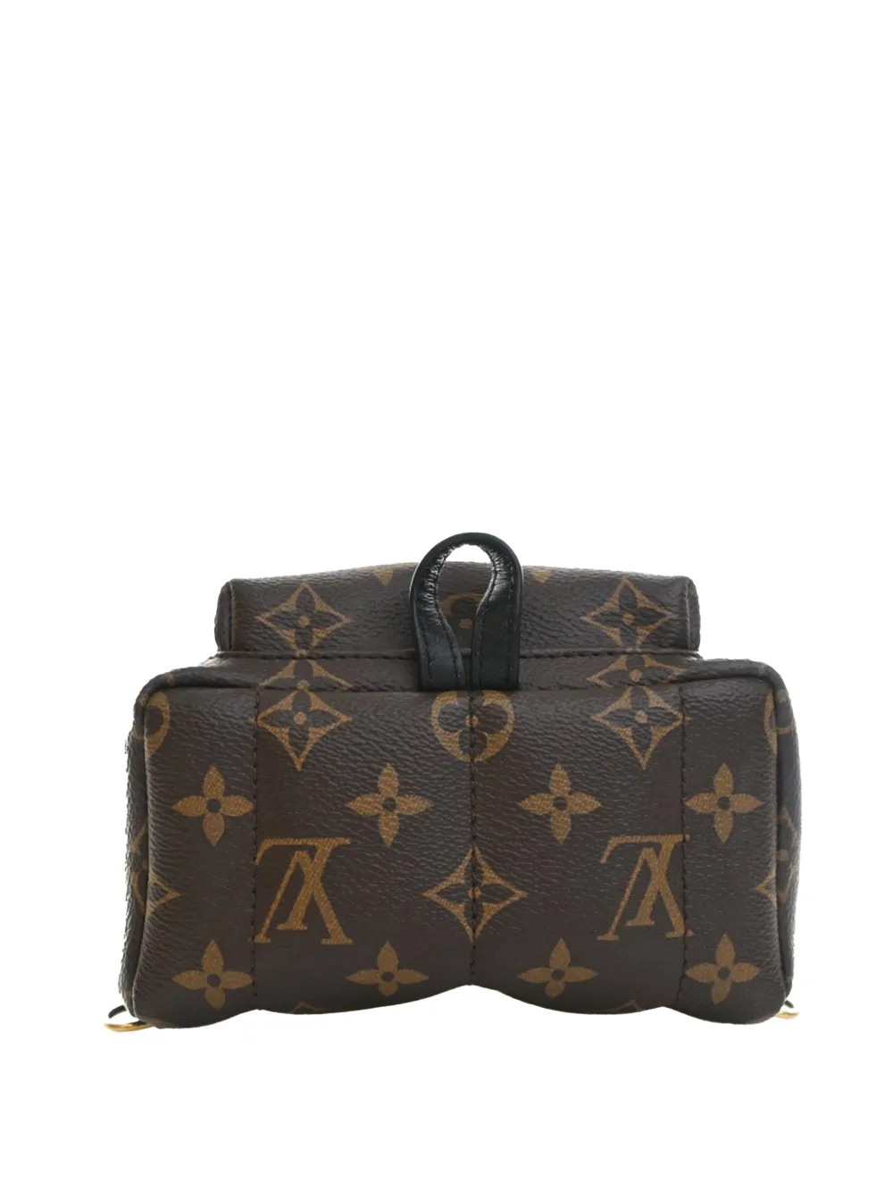 Louis Vuitton Pre-Owned 2000-2026 Monogram Mini Palm Springs
