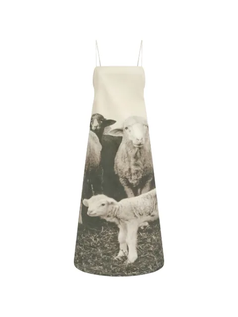 Moschino printed cotton gabardine dress
