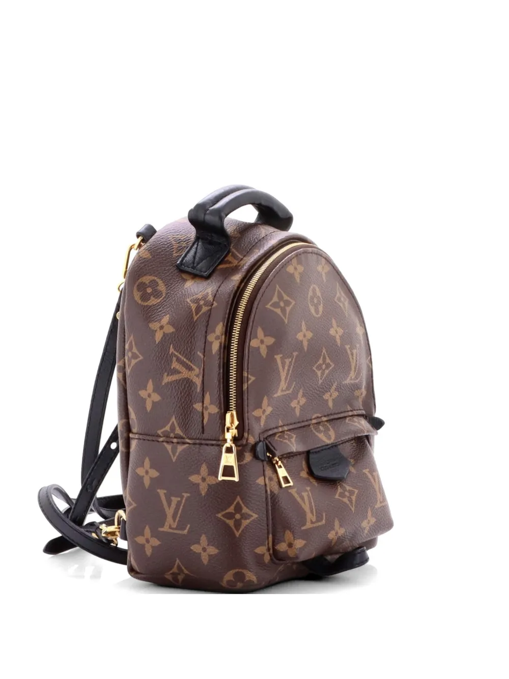 Louis Vuitton Pre-Owned Palm Springs Monogram Canvas Mini backpack - Marrone