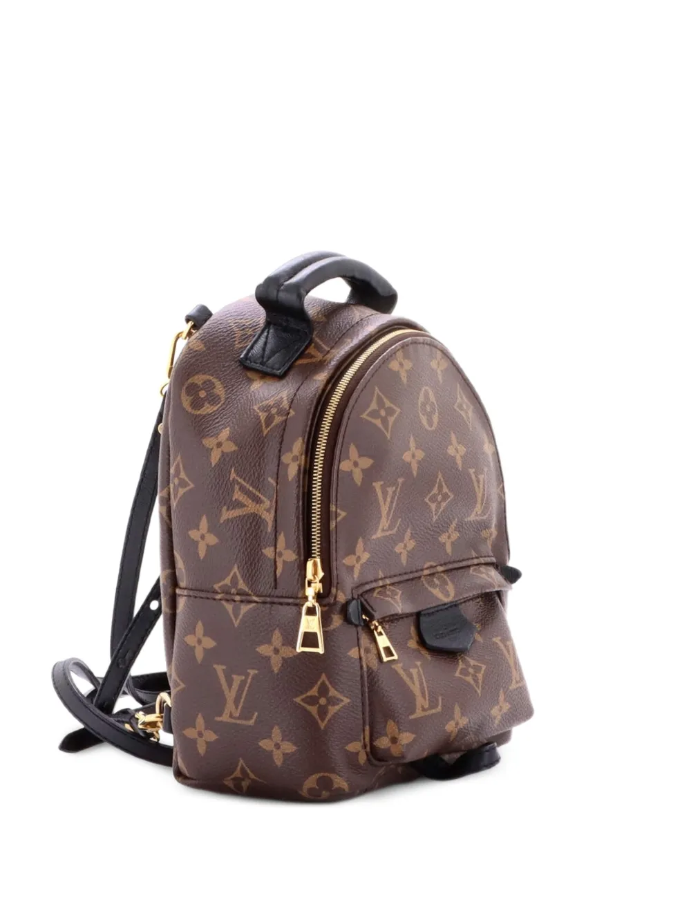 Louis Vuitton Pre-Owned Palm Springs Monogram Canvas Mini backpack - Marrone