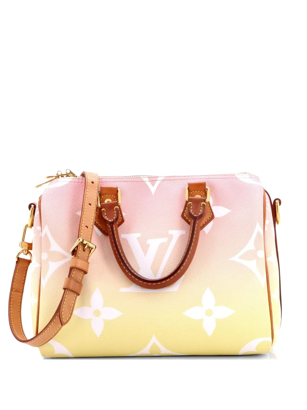 Louis Vuitton Pre-Owned Speedy Bandouliere Bag By The Pool Monogram Giant 25 satchel - Mehrfarbig