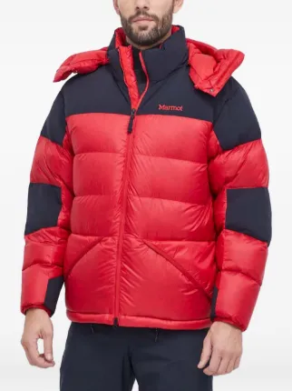Marmot