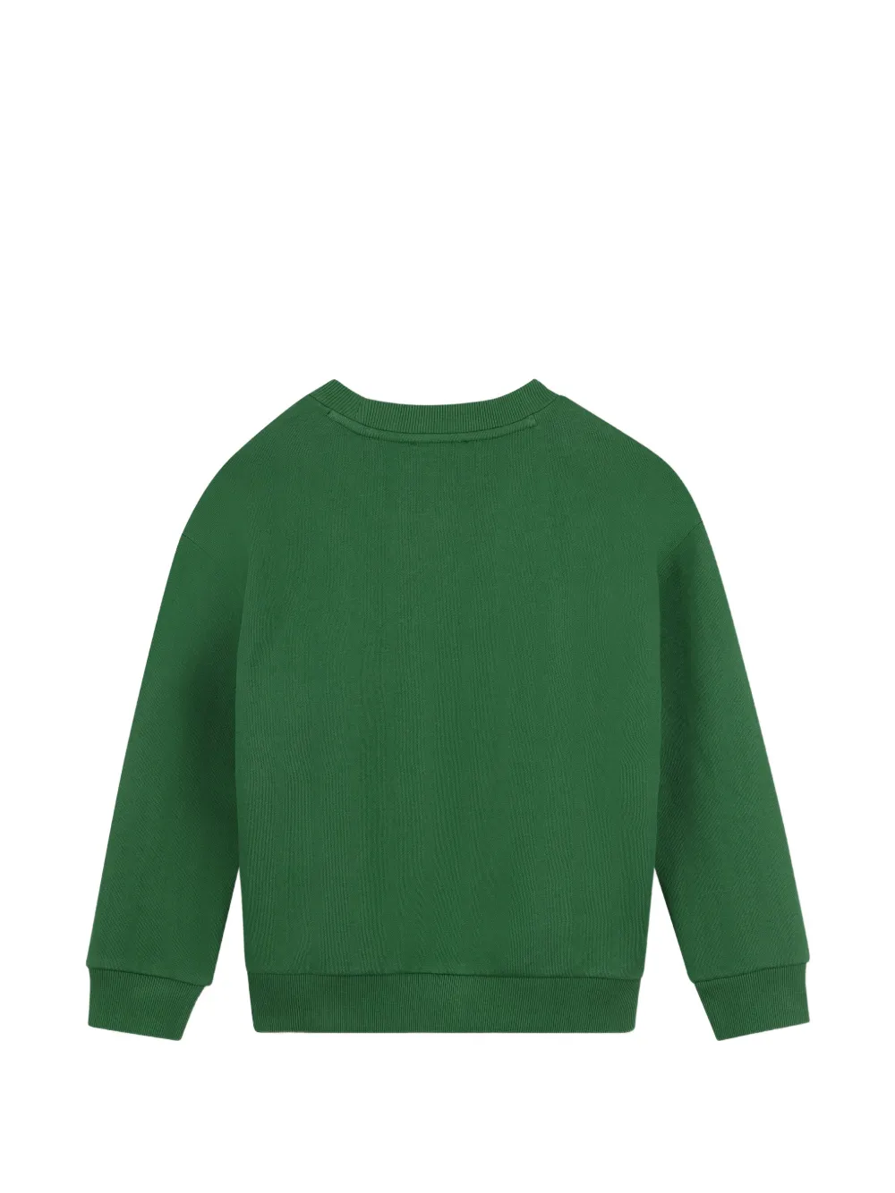 Kenzo Kids Sweater met Tiger-patroon en ronde hals Groen