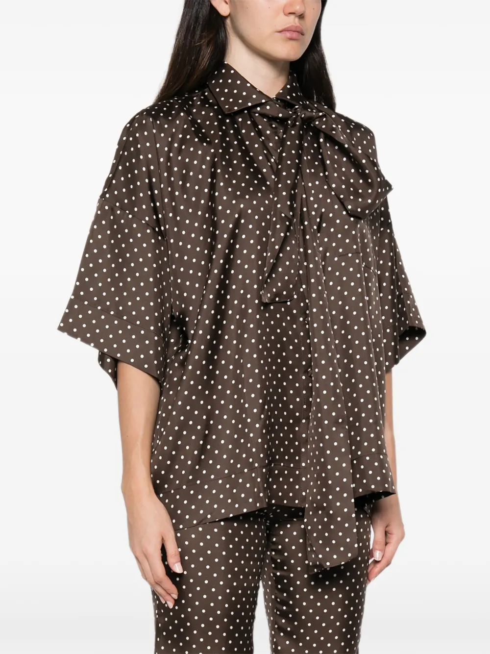 Françoise Blouse met stippen Bruin