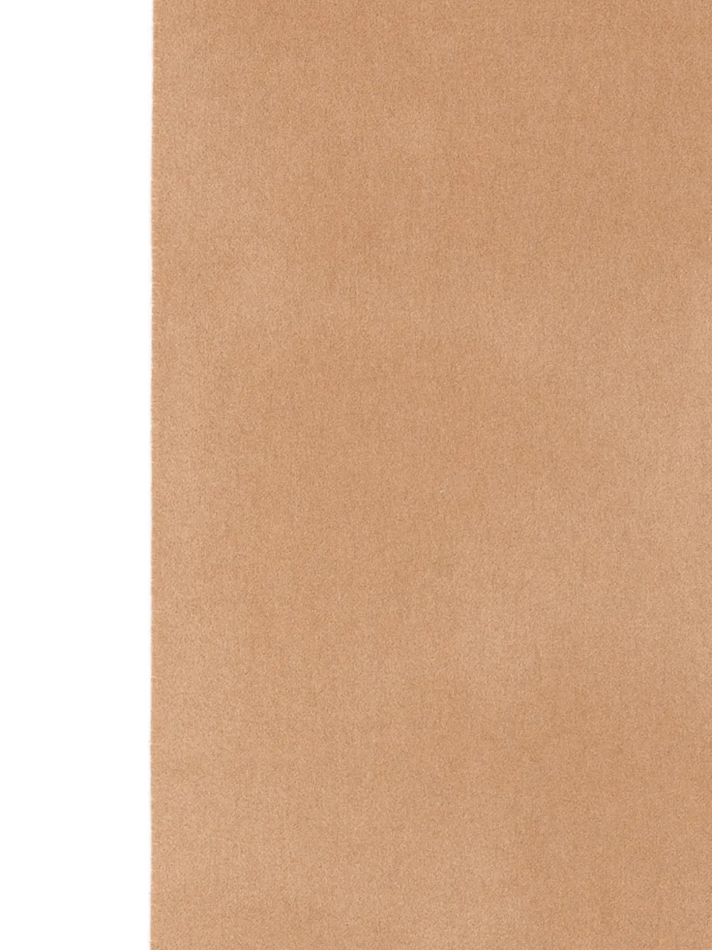 Max Mara Wsdalia sjaal Bruin