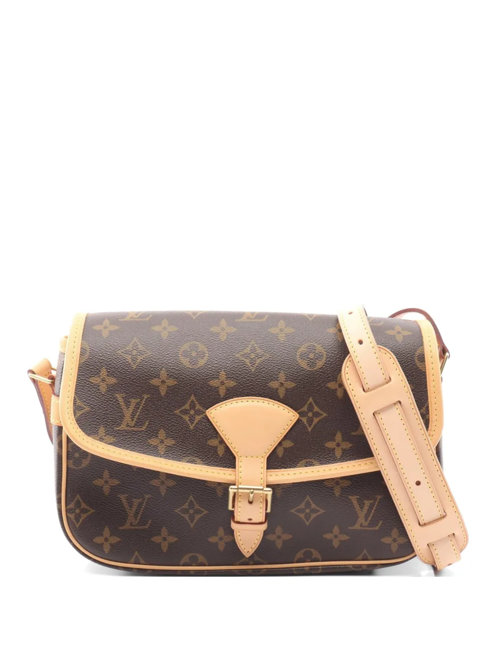 Louis Vuitton Pre-Owned 2006 Monogram Sologne shoulder bag - Marrone