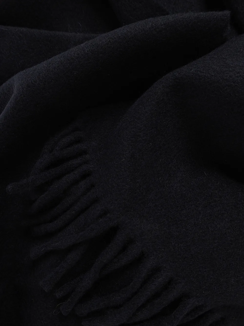 Max Mara Fringed Logo-embroidered Scarf in Blue, view 3