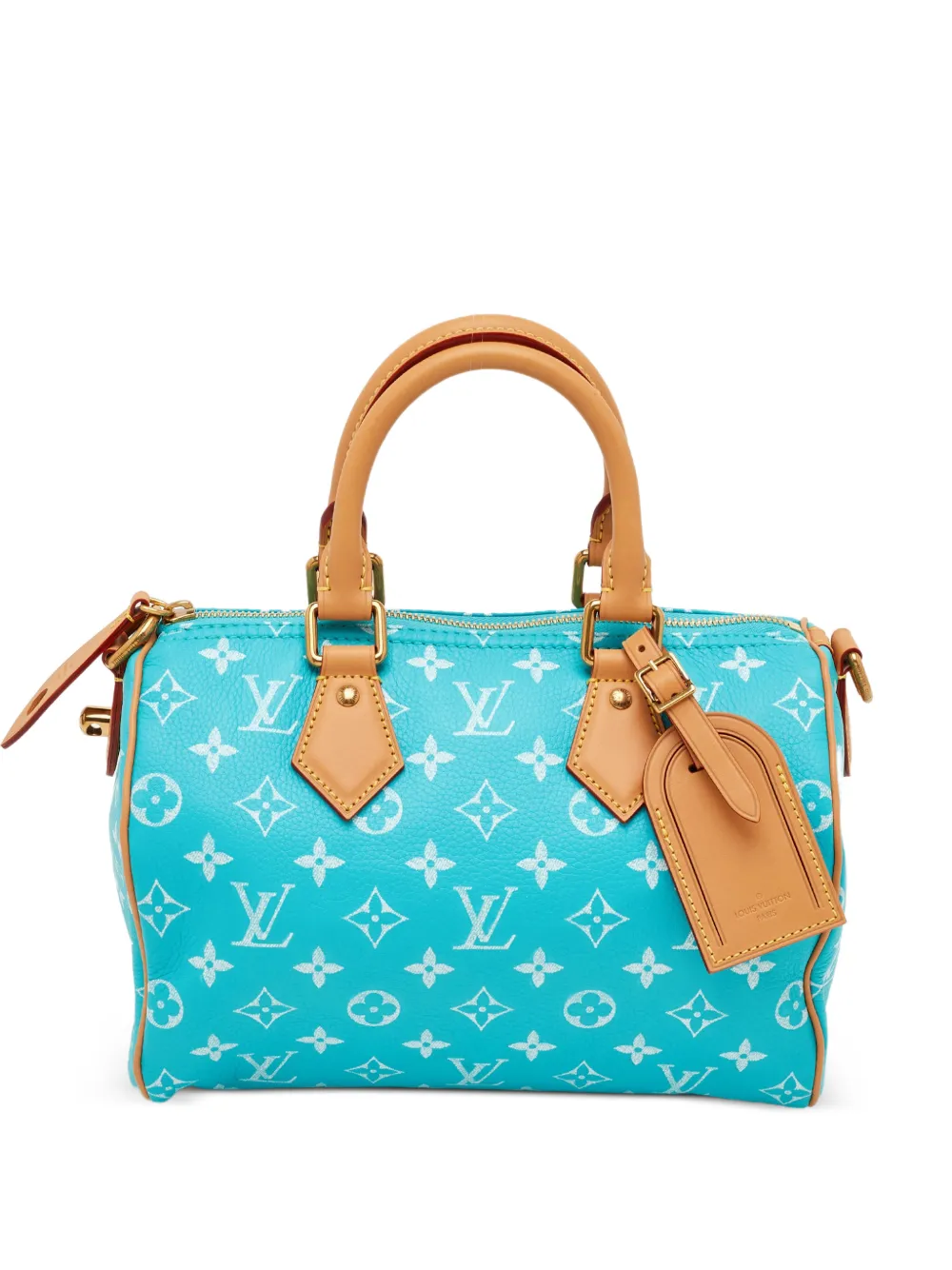 Louis Vuitton Pre-Owned Speedy P9 Bandoulière handbag - Blu