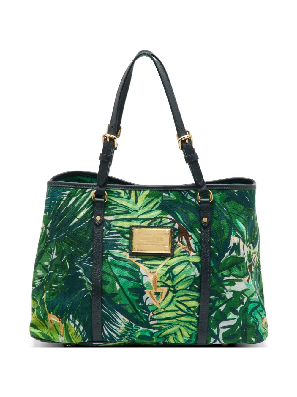 Louis Vuitton Pre-Owned 2011 PM Cabas Aventure Ailleurs tote bag - Verde
