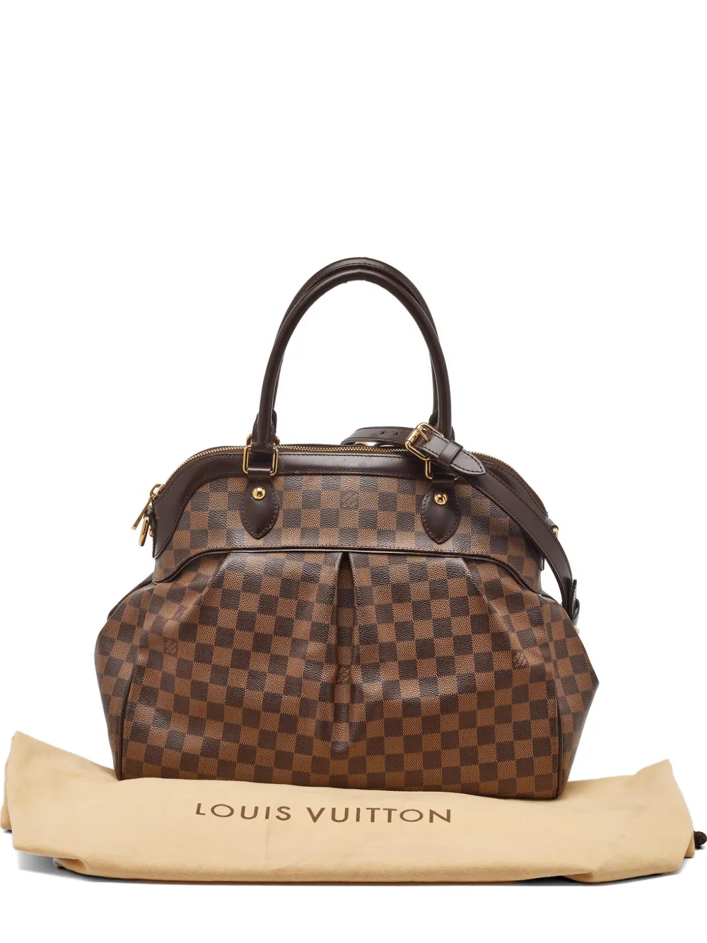 Louis Vuitton Pre-Owned 2010 large Trevi Damier Ebene tote bag - Braun