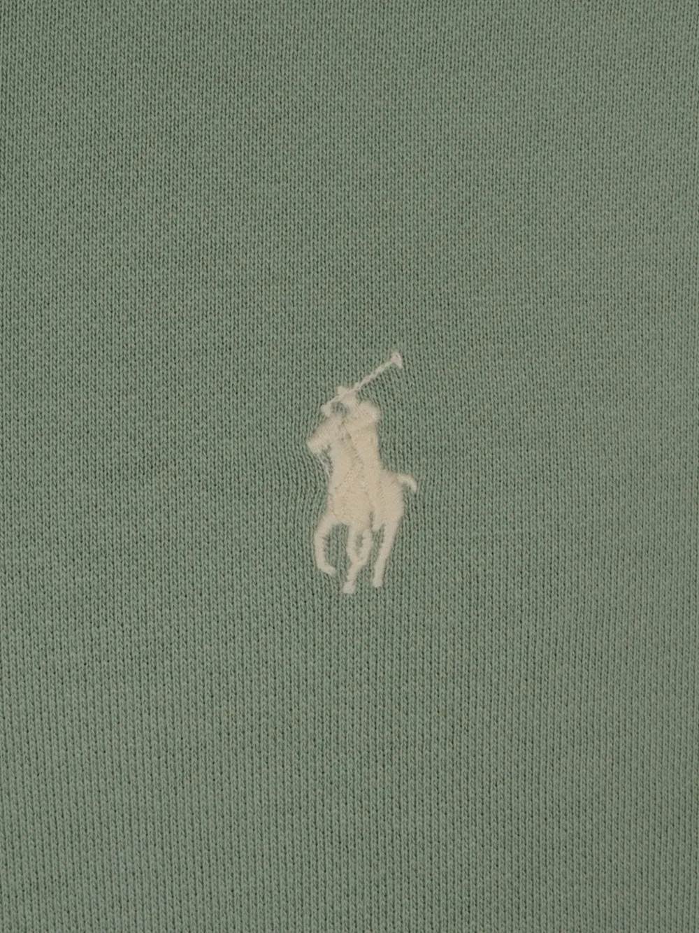 Polo Ralph Lauren Hoodie met geborduurd logo Groen