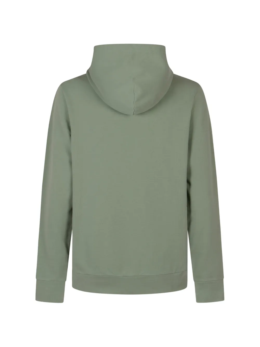 Polo Ralph Lauren Hoodie met geborduurd logo Groen