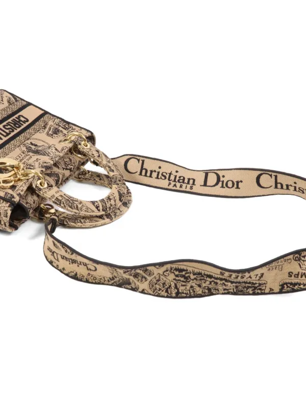 Christian Dior Pre-Owned Lady D-Lite ハンドバッグ | ニュートラル