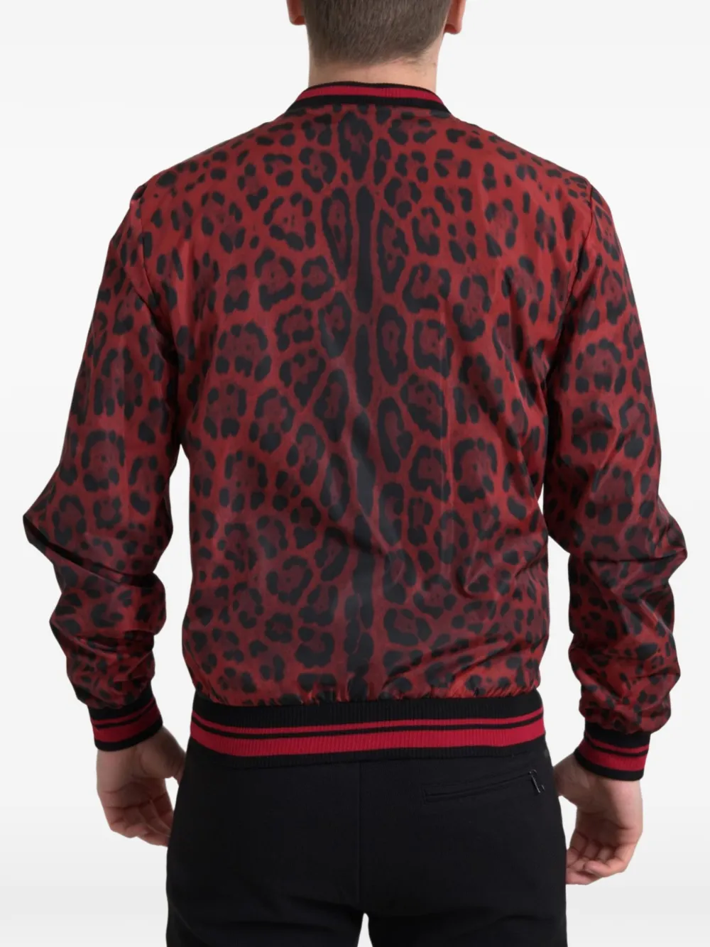 Dolce & Gabbana Bomberjack met luipaardprint Rood