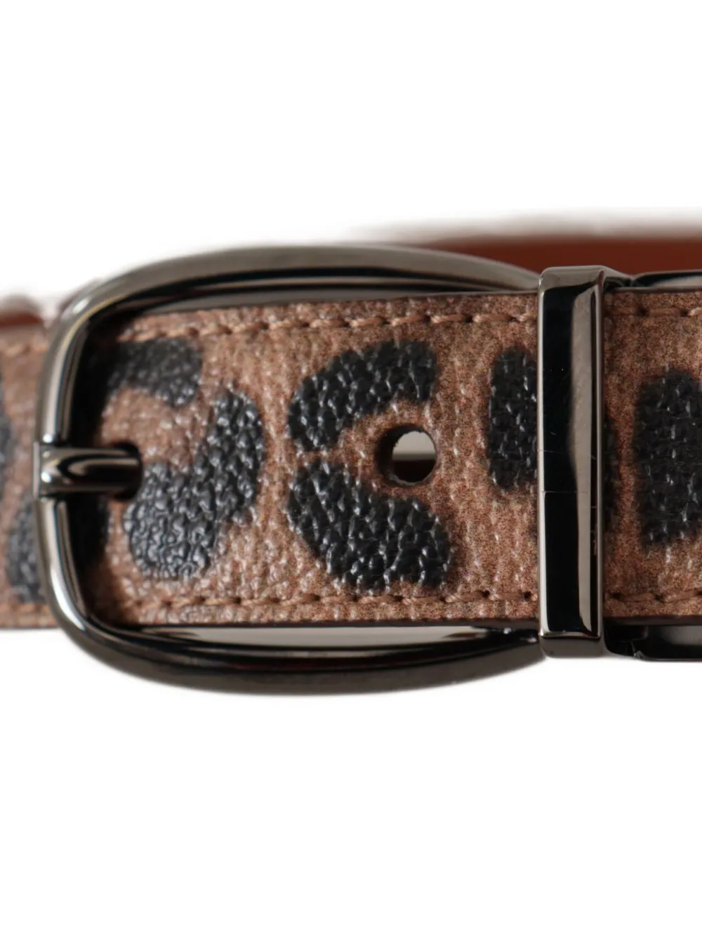 Dolce & Gabbana Gespriem met luipaardprint Beige