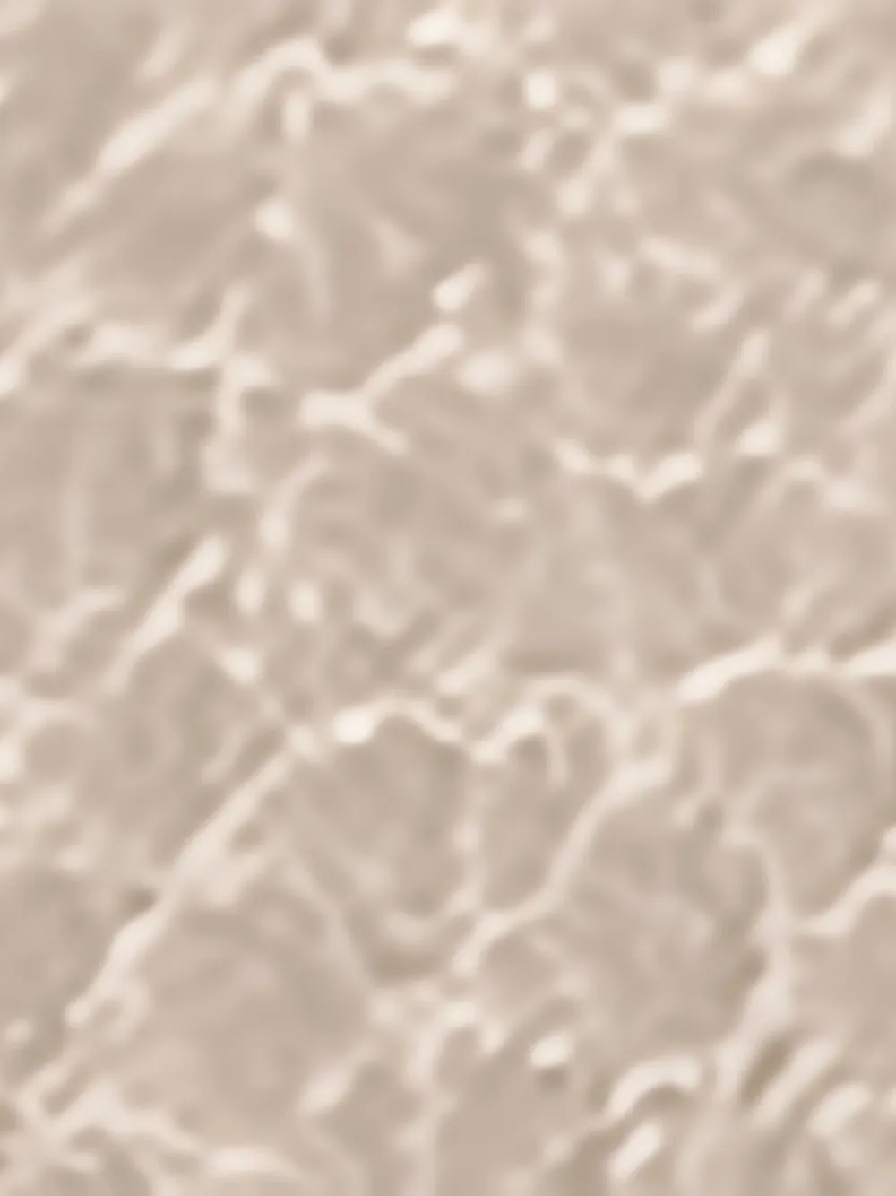 Stella McCartney Ryder pasjeshouder met rits Beige