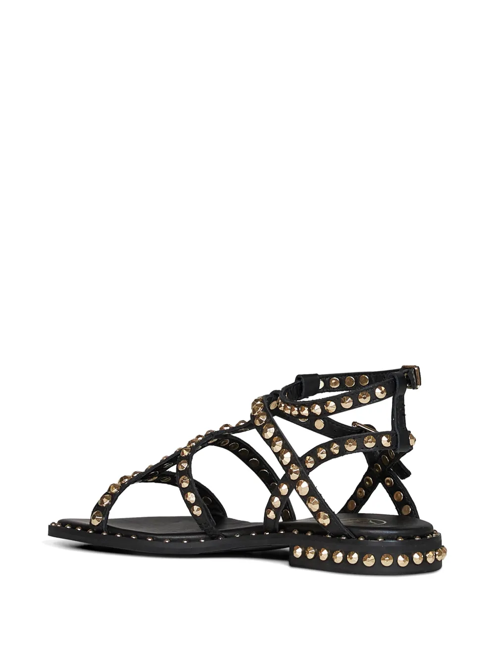 Ash Stud-embellished Gladiator Sandals In Black