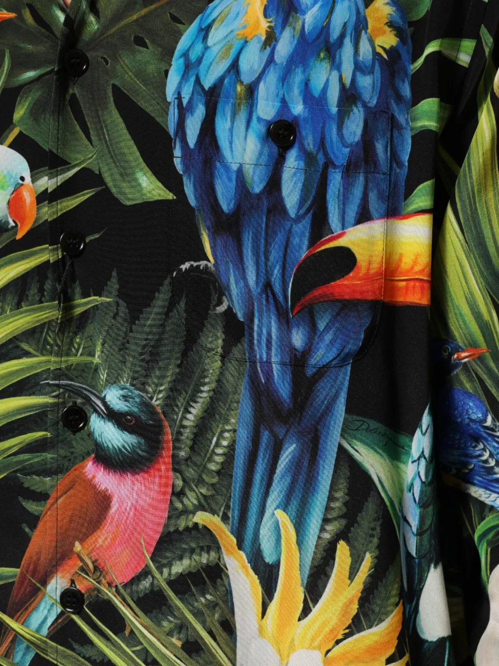 Dolce & Gabbana Overhemd met papegaaien-print en lange mouwen Groen
