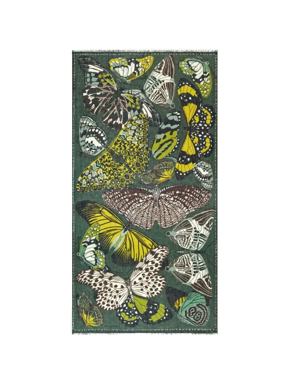 Inoui Editions butterfly-print fringed scarf - Verde