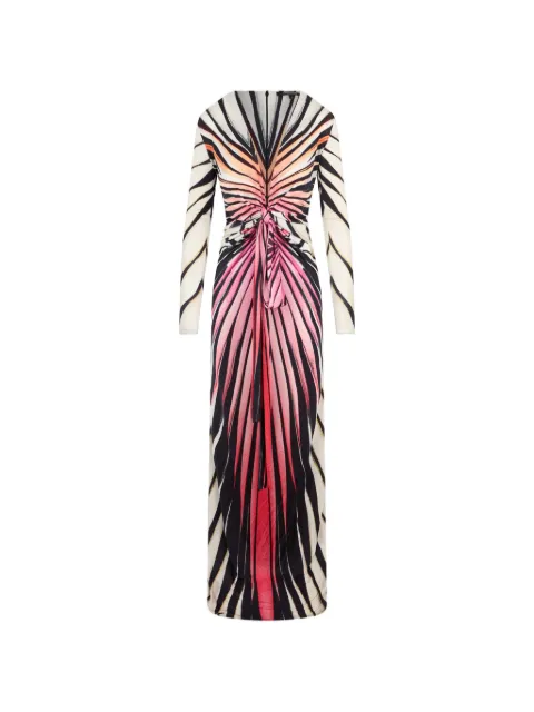 Roberto Cavalli Ray Of Paradise printed maxi dress
