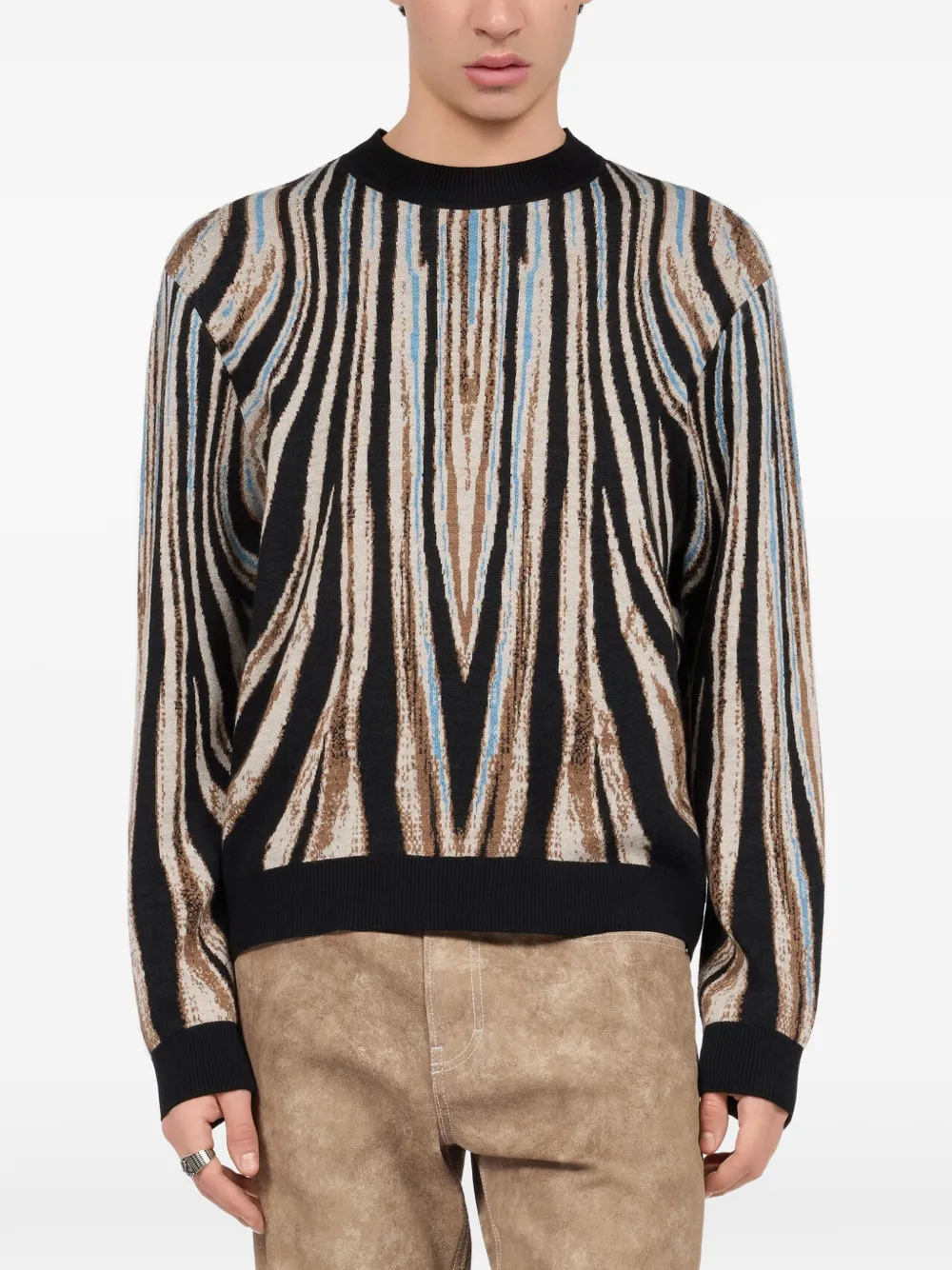 Roberto Cavalli tiger-print sweater Zwart