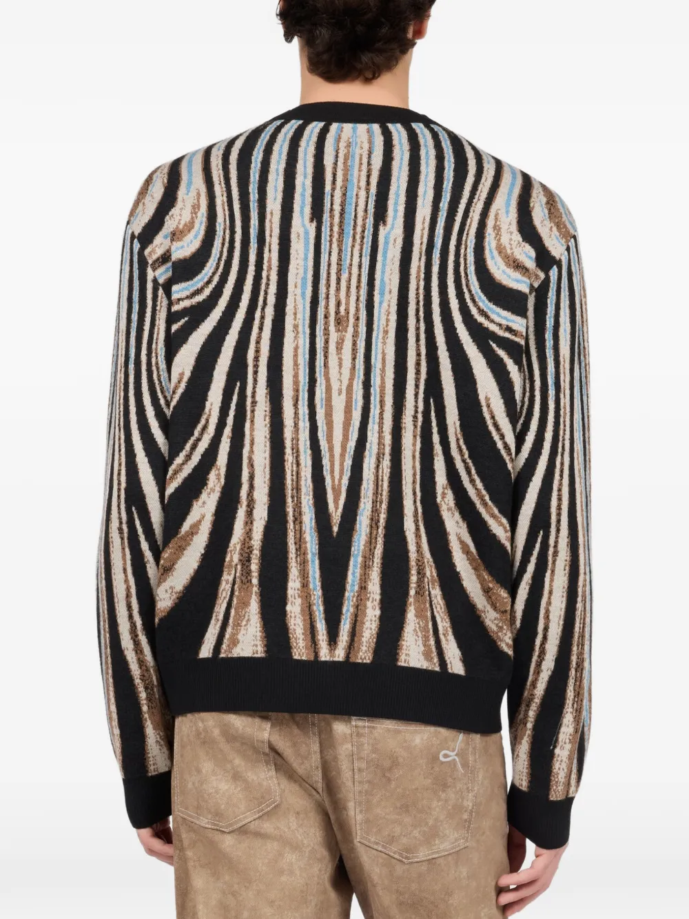 Roberto Cavalli tiger-print sweater Zwart