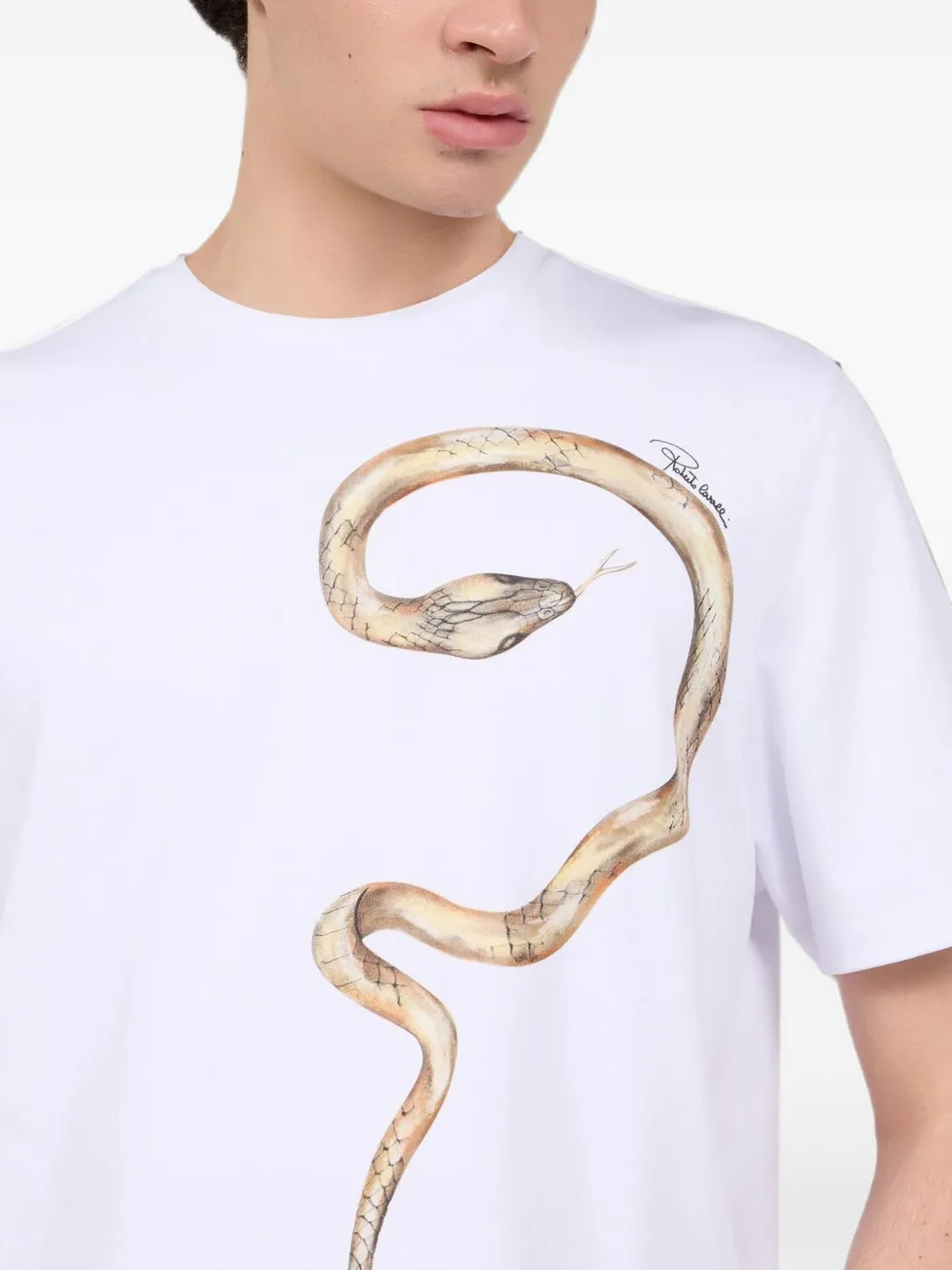 Roberto Cavalli snake-print T-shirt Wit