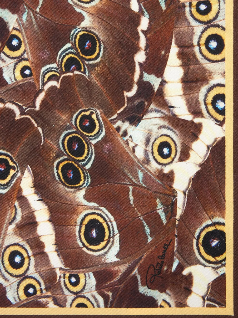 Roberto Cavalli Sjaal met vlinderprint Bruin