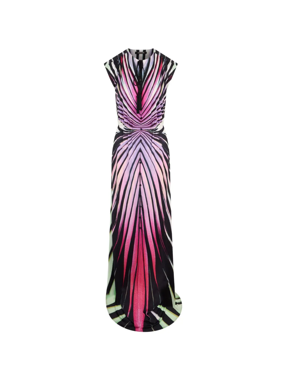 Roberto Cavalli Ray Of Paradise printed maxi dress