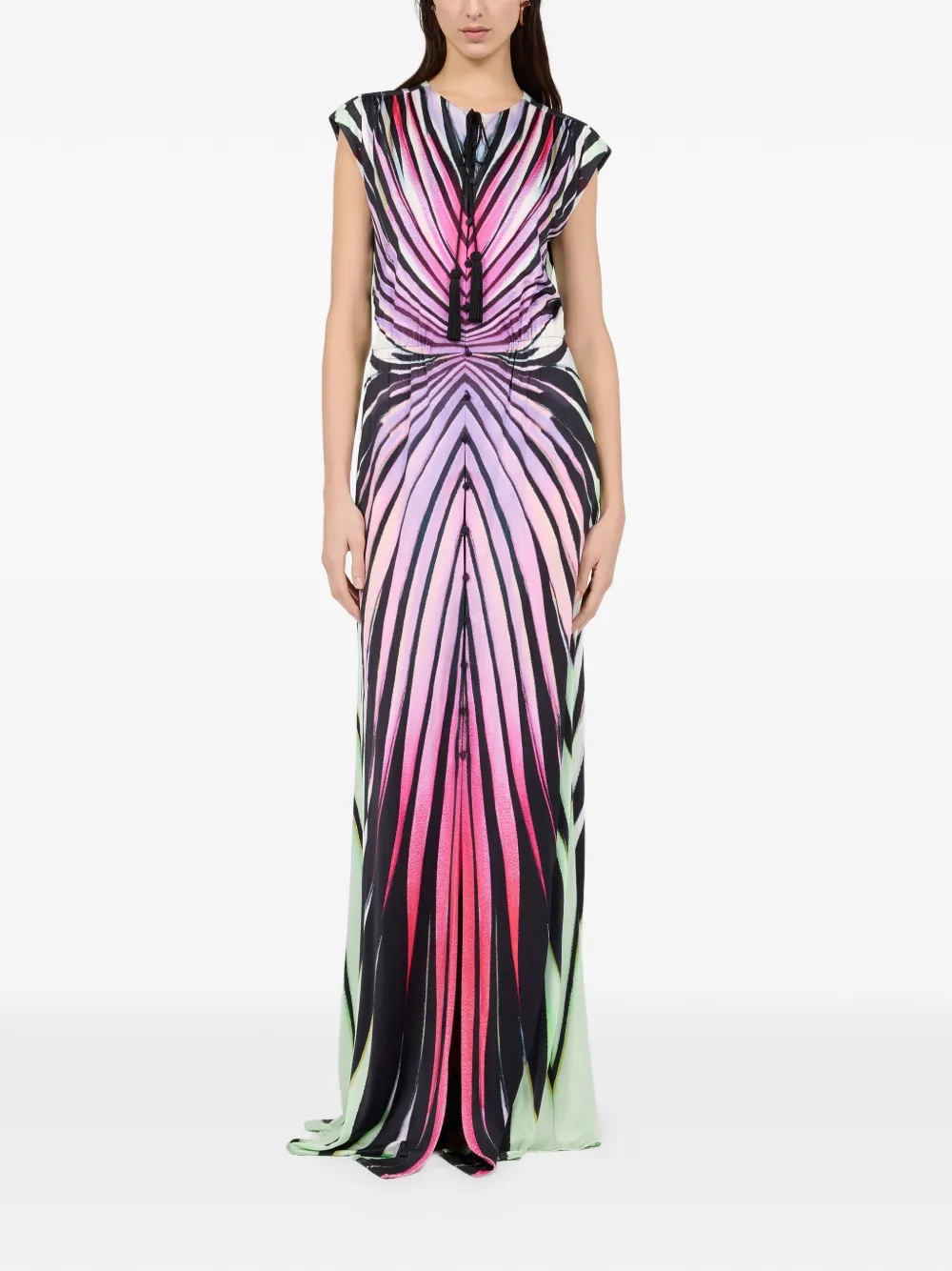 Roberto Cavalli Ray Of Paradise maxi-jurk met print Zwart