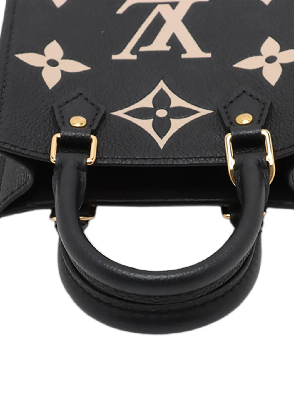 Louis Vuitton Pre-Owned 2021 バイカラー モノグラム アンプラント