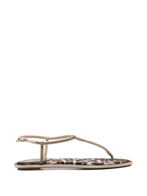 René Caovilla crystal-embellished leopard-print sandals
