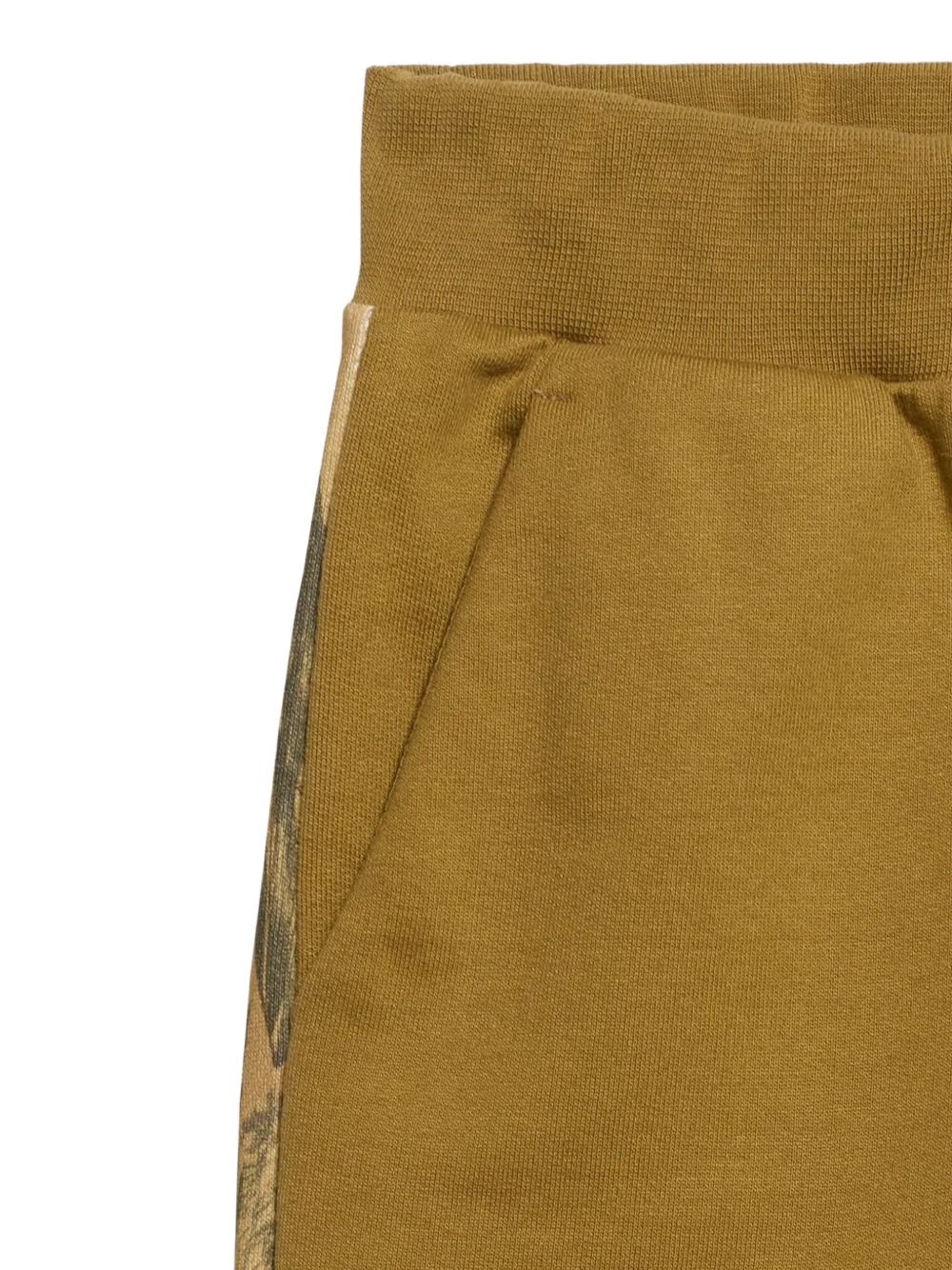 Roberto Cavalli Junior Trainingsbroek met palm-print Groen
