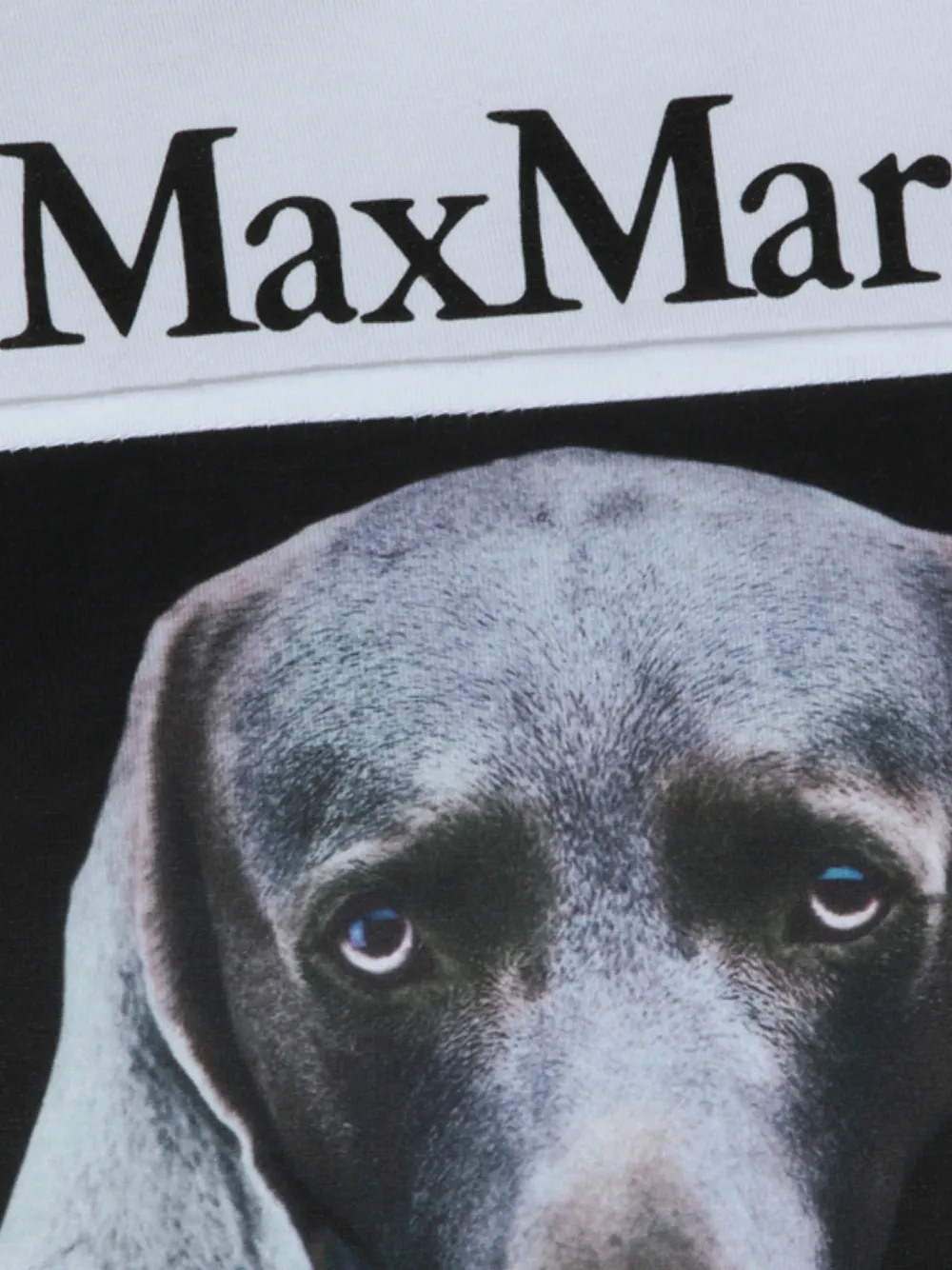 Max Mara T-shirt met logo- en fotoprint Wit