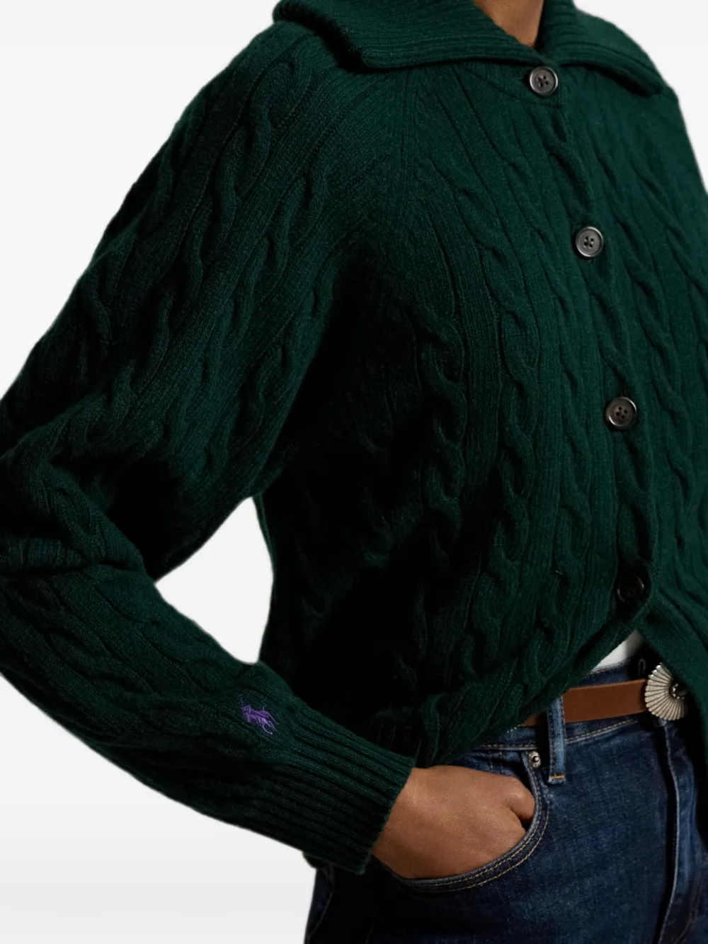Polo Ralph Lauren Kabelgebreid Pony jack Groen