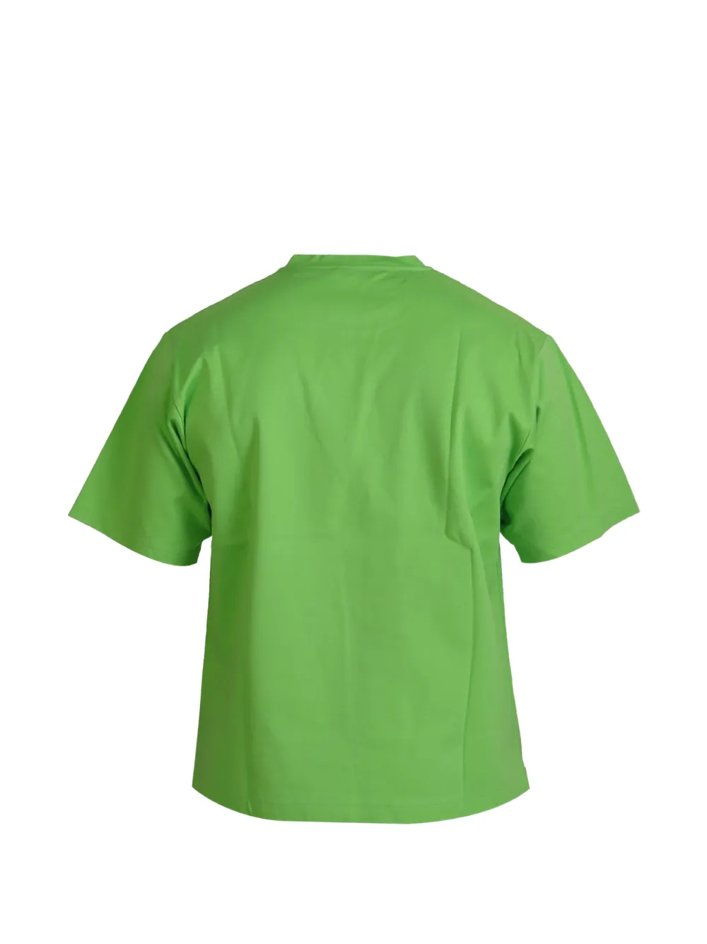 Dolce & Gabbana T-shirt met grafische print Groen