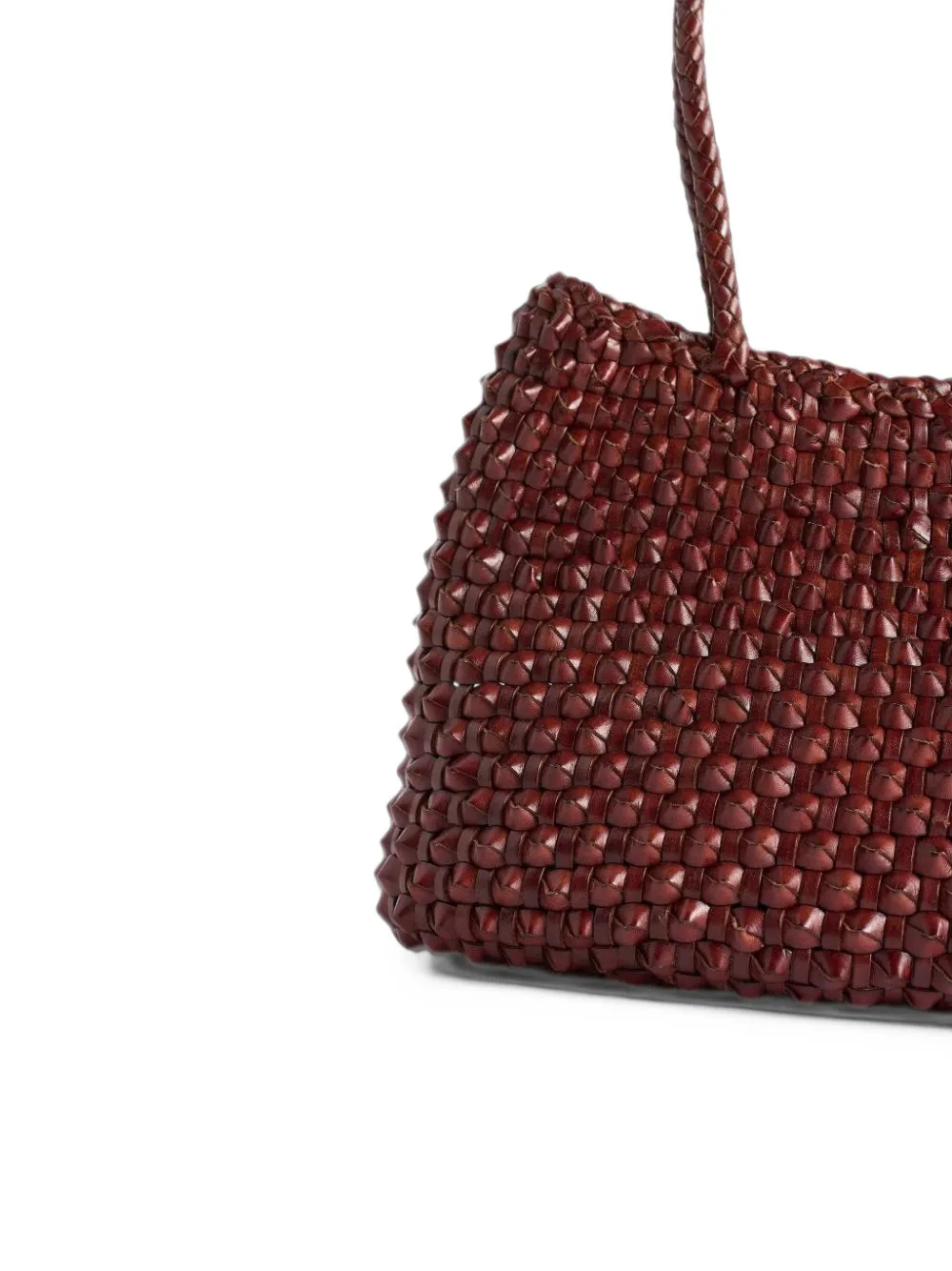 DRAGON DIFFUSION S.Croce Cactus bruciato tote bag Bruin