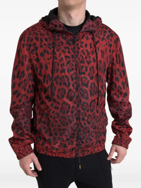 Dolce & Gabbana leopard-print hooded jacket